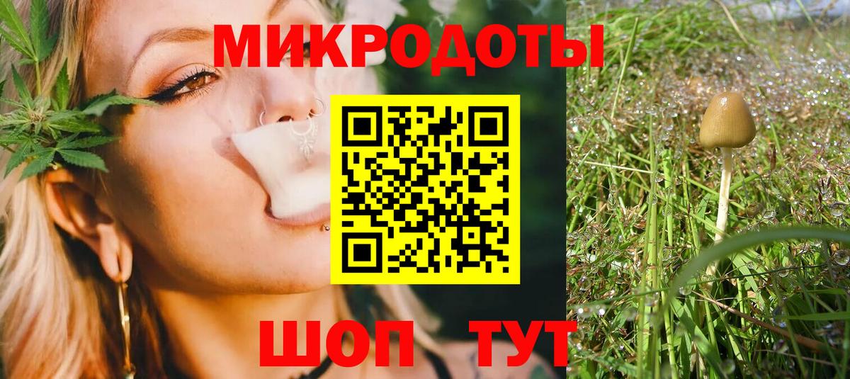 Кострома  Псилоцибиновые грибы GOLDEN TEACHER  Вход с VPN  даркнет сайт  Псилоцибиновые грибы Psilocybine cubensis 